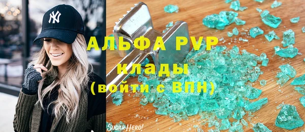 гидра Козловка