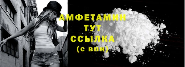 гидра Кодинск