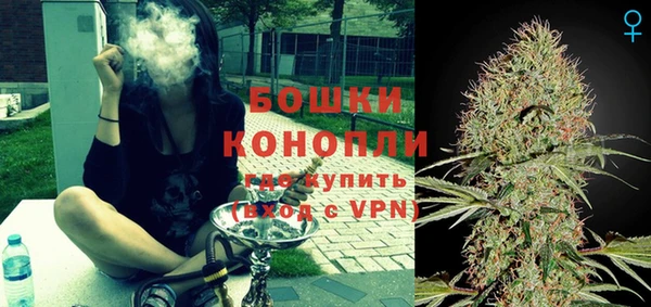 гидра Кодинск