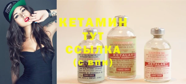 гидра Кодинск
