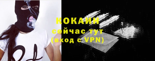 гидра Кодинск