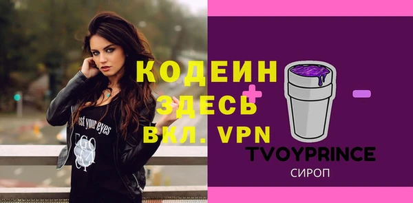 гидра Кодинск