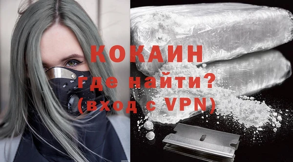 гидра Козловка