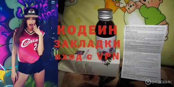 гидра Кодинск
