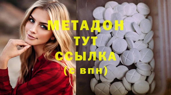 гидра Кодинск
