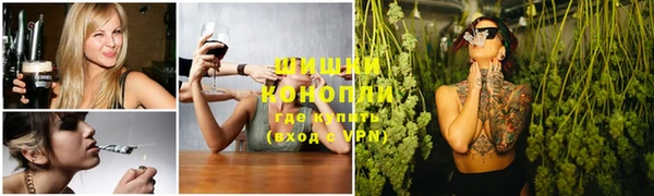 гидра Козловка