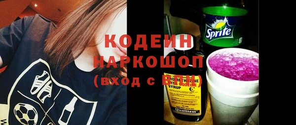 гидра Кодинск