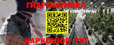 трава Заводоуковск