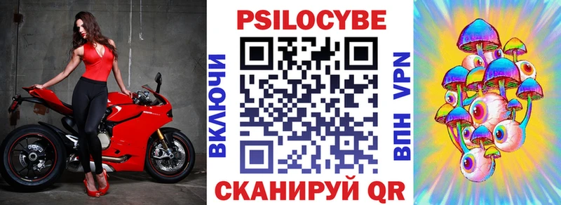 Галлюциногенные грибы Psilocybine cubensis  Тольятти 