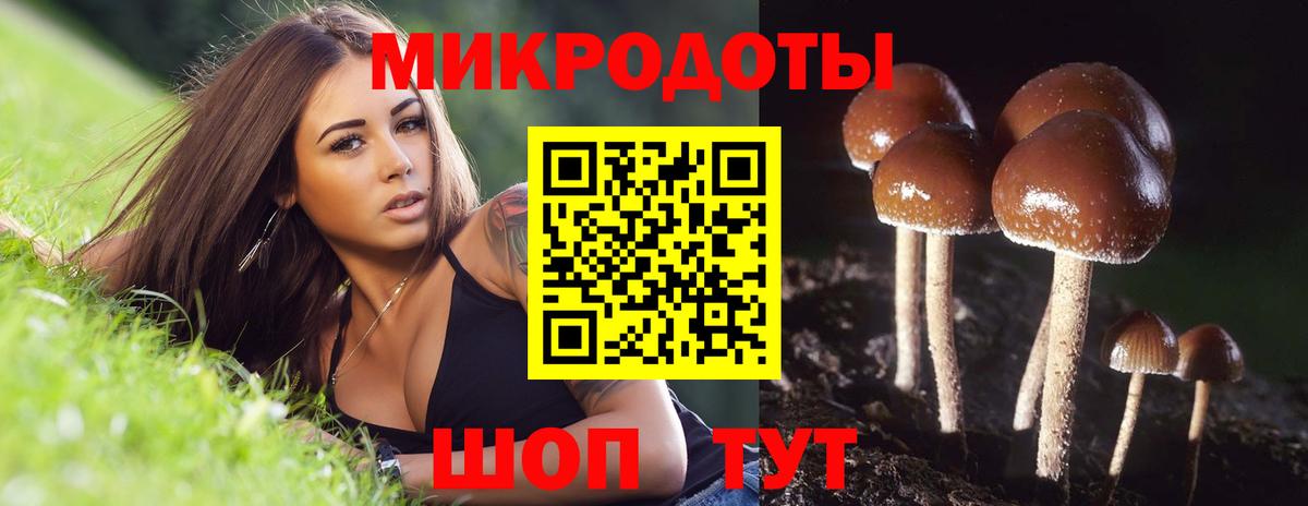 Галлюциногенные грибы Magic Shrooms  магазин  наркотиков  Тольятти  Вход с VPN  Галлюциногенные грибы ЛСД 