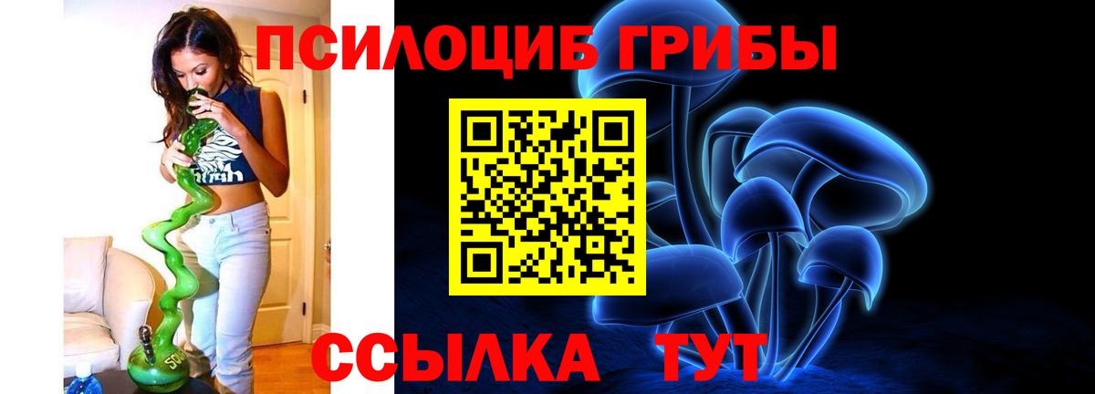 Псилоцибиновые грибы Psilocybe Тольятти